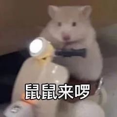深夜了，有没有人想看点刺激的？（我眼袋里切出来的脂肪） 