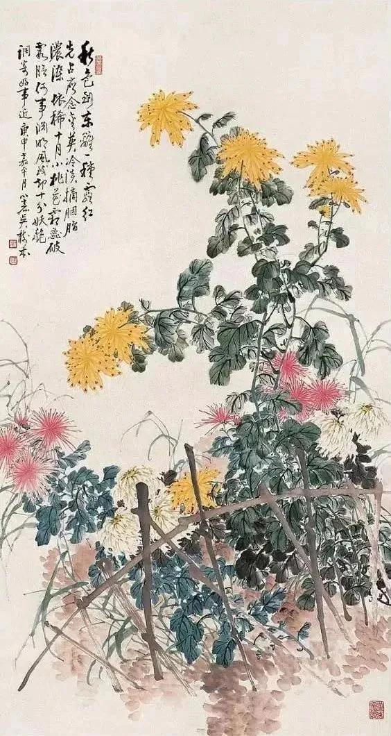 菊花