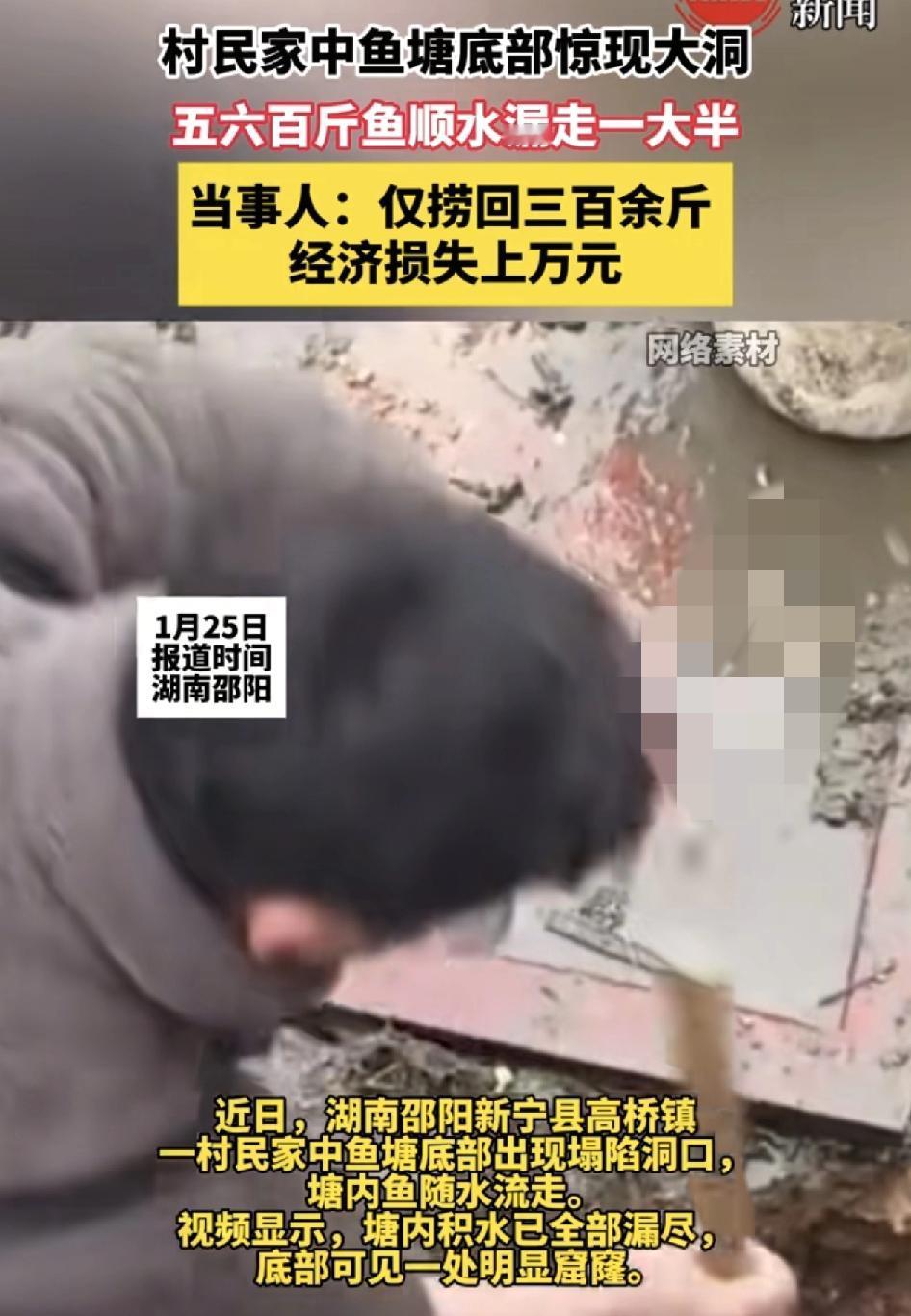 湖南邵阳一村民家中的鱼塘出现塌陷导致五六百斤的鱼被溜走一大半，只剩下300多斤的