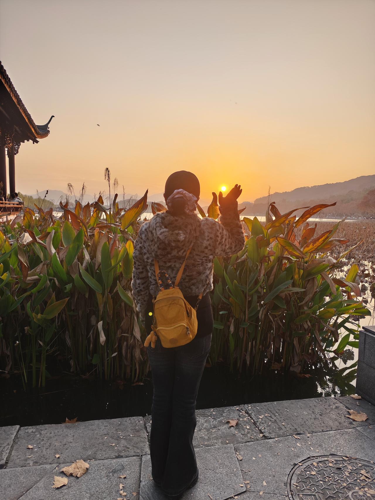 冬日夕阳之下，西湖断桥美景一览无余。焦黄色的荷叶在夕阳的映射下变得更加魔幻起来，