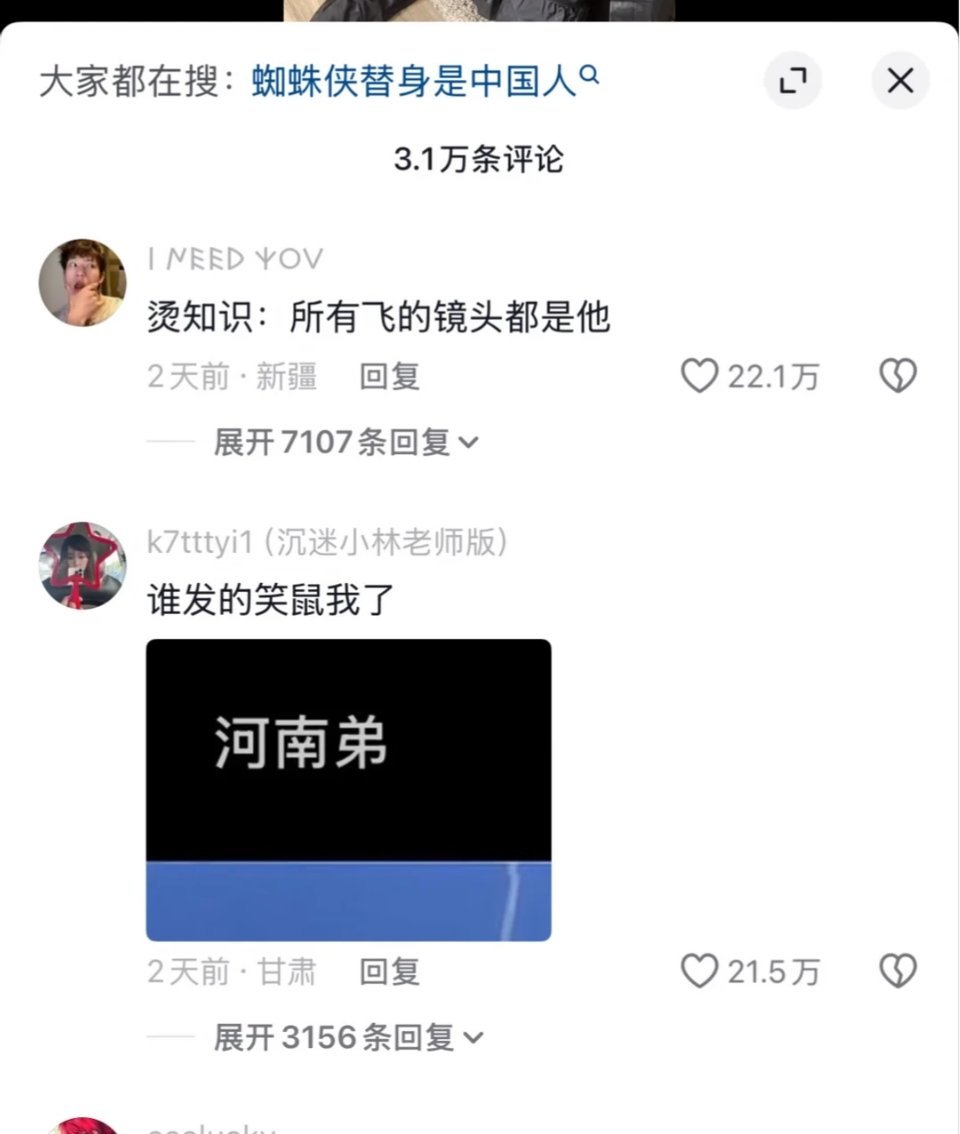 荷兰弟替身 荷兰弟那个替身好莫名其妙啊 在网上一直发自己在现场的片段 他评论区至
