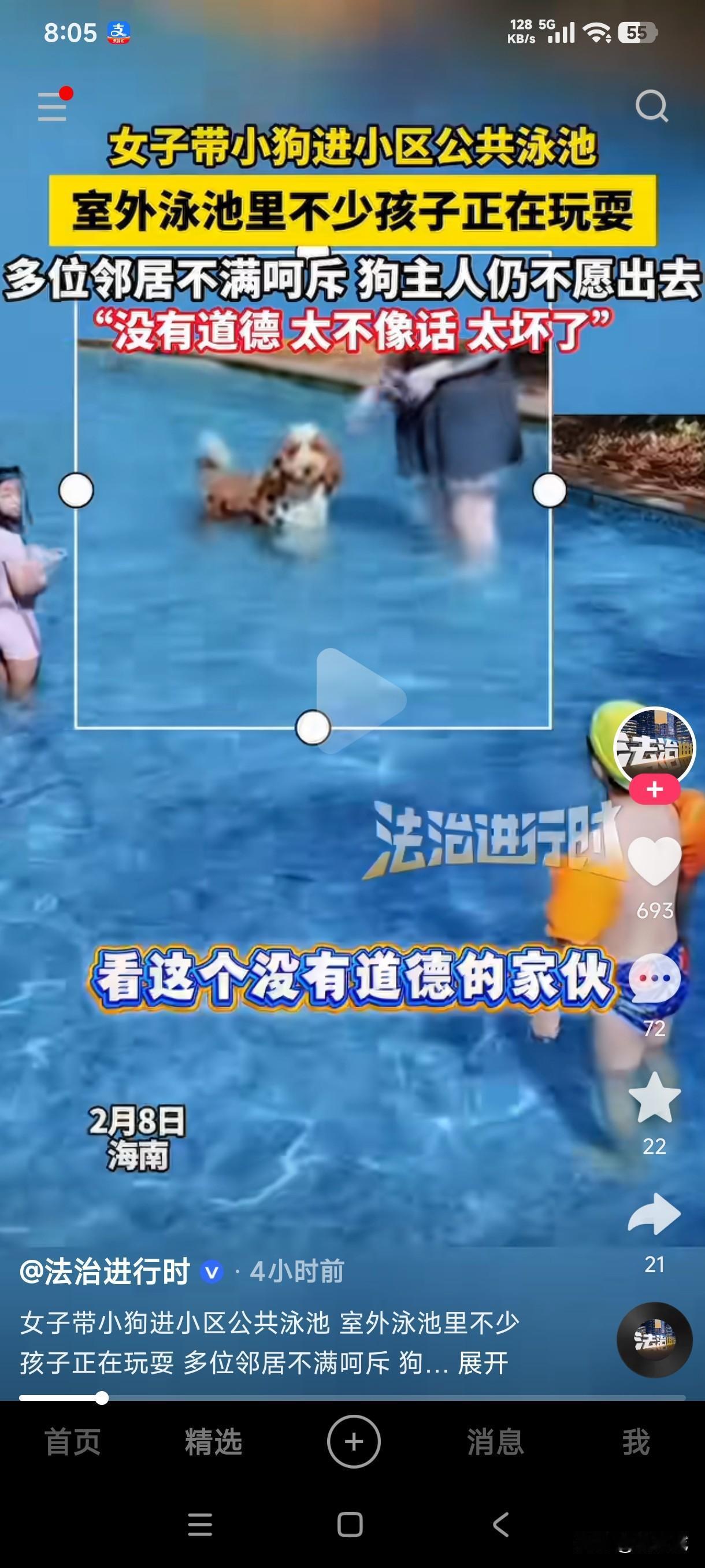 海南一女子带小狗进小区公共泳池，遭到多位邻居的不满呵斥，狗主人一脸死猪不怕开水烫