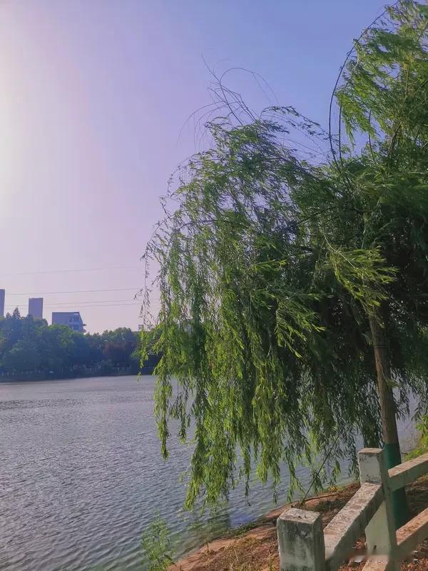 用诗句表达“我喜欢你”，那可太有韵味了。像“山无陵，江水为竭，冬雷震震，夏雨雪。