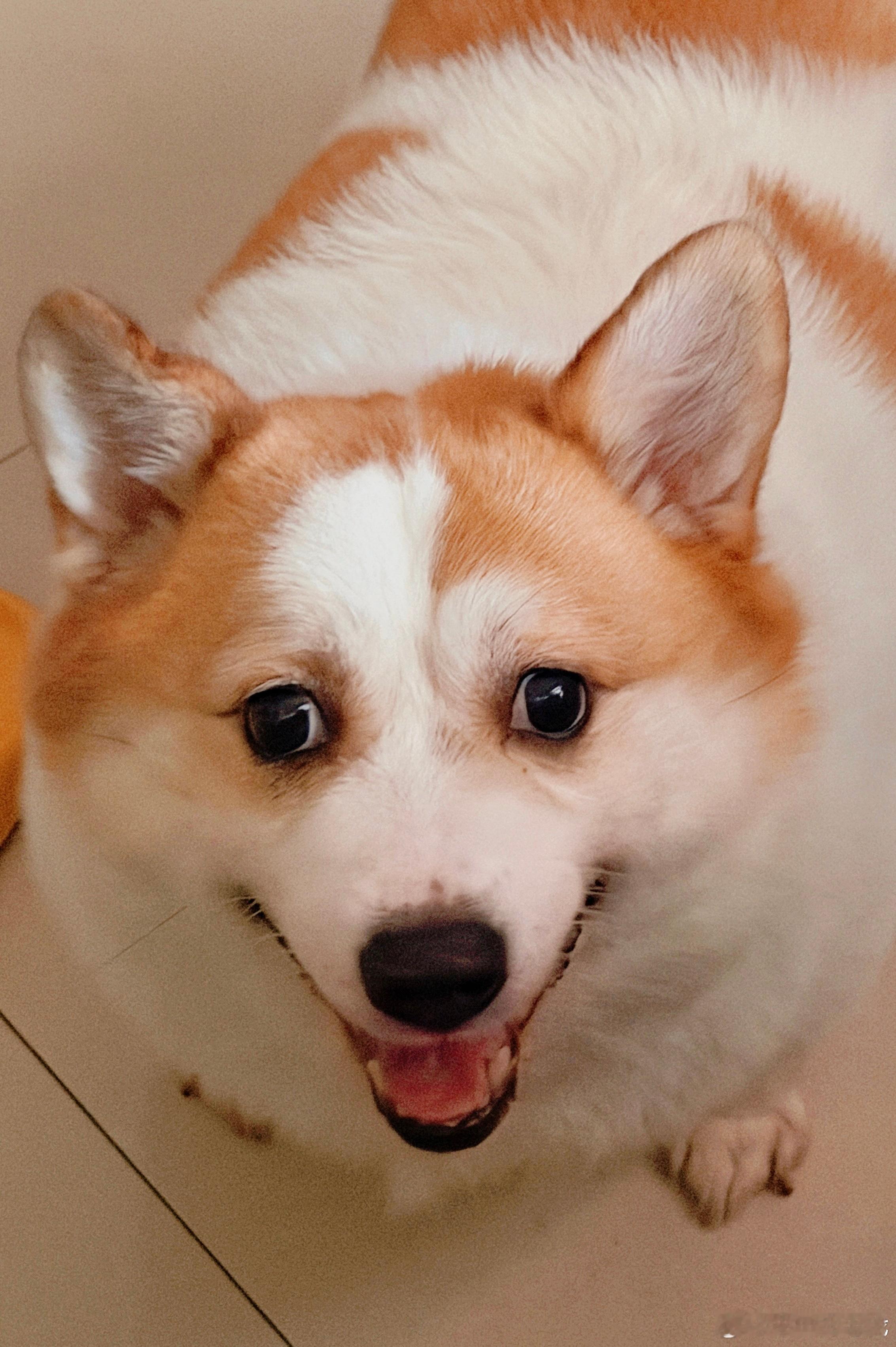 小乐：我要吃了你 