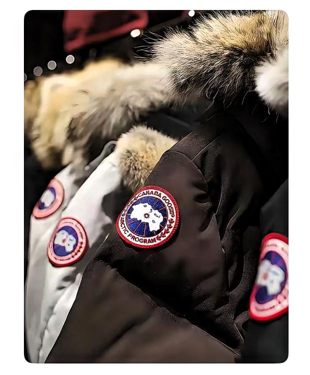 海南封关后，万元加拿大鹅低至7000元

这不海口保税店的保安又有新发现了

据