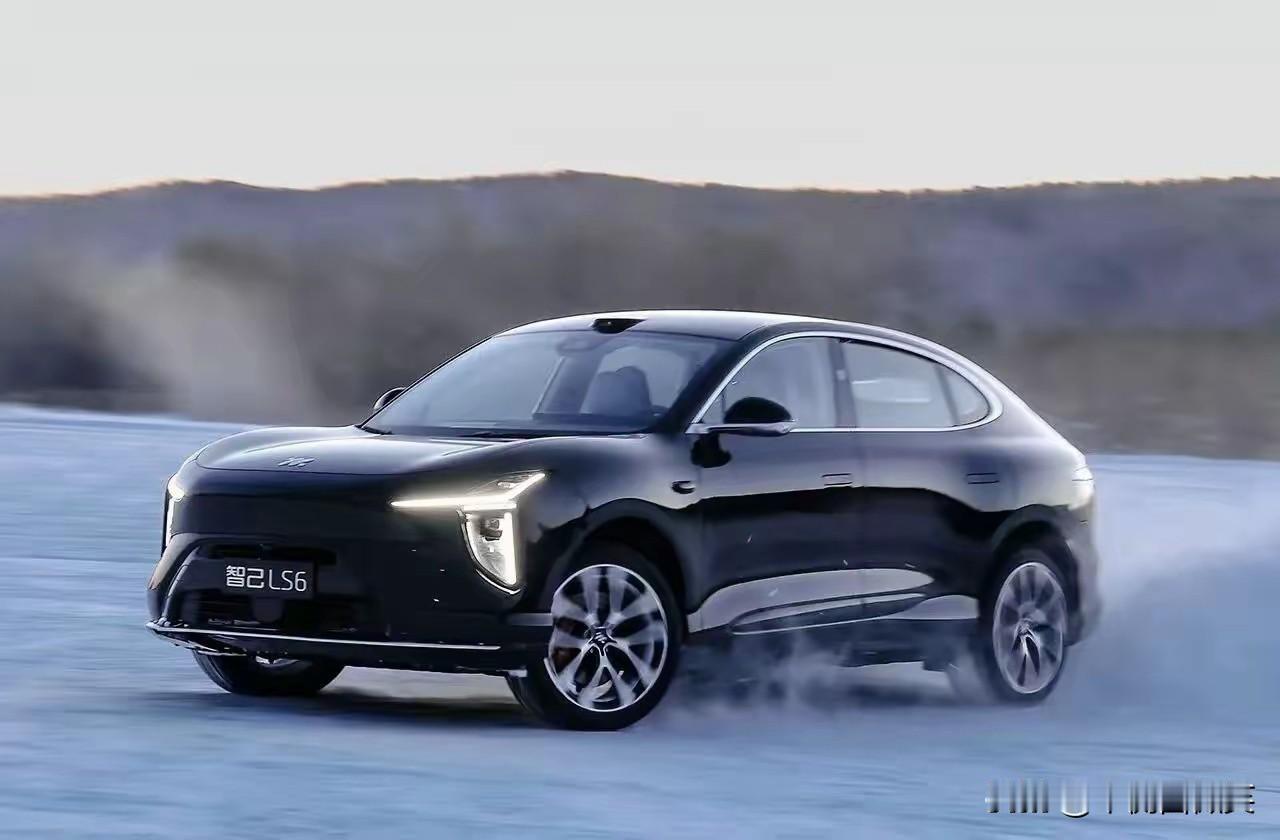 智己LS6作为新势力造车企业，始终坚持科技创新发展，车型涵盖轿车和SUV等多款车