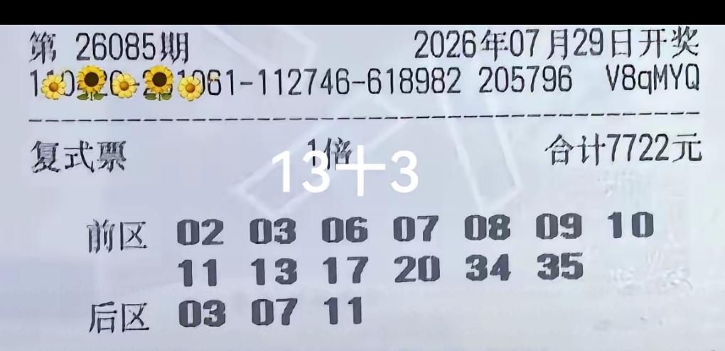 哈哈这张看着霸气十足啊[给力][给力][给力]，13+3的选项，号码也是大范围铺