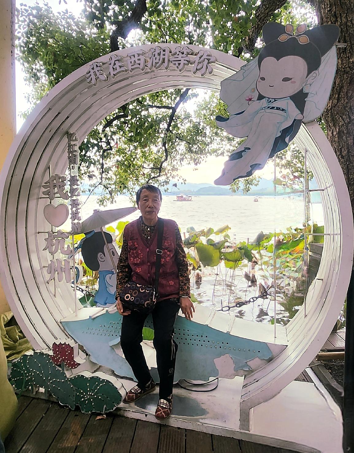 游江南美景，拍照打卡简直不要太爽！就说西湖的“梅王”，2026年3月1日，哪怕下