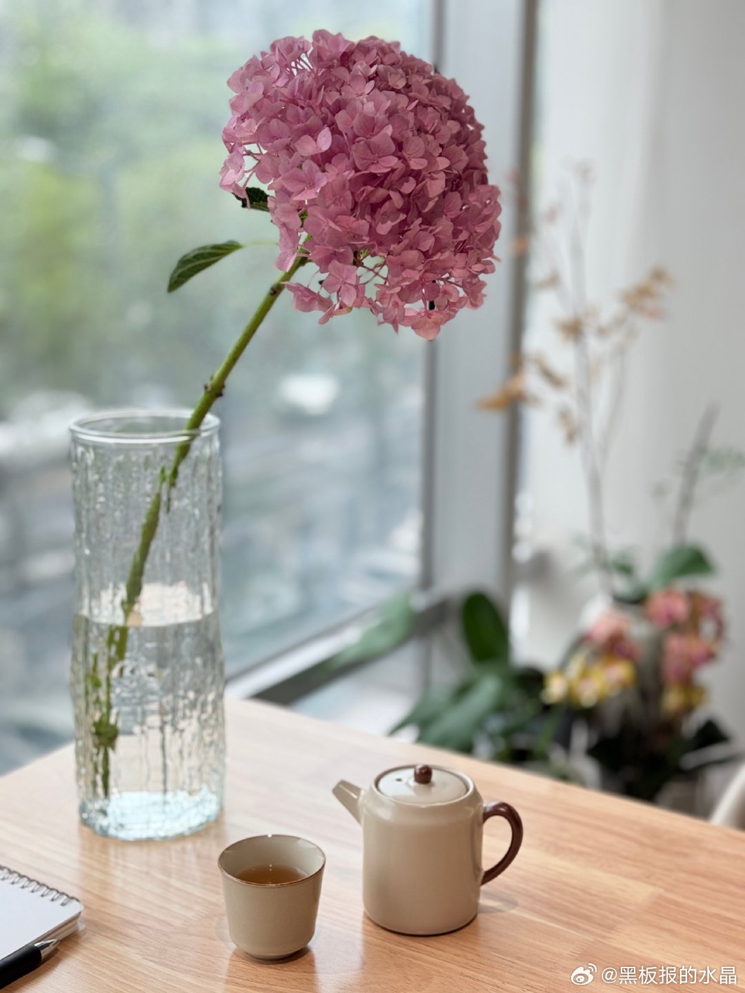 雨天，最适合喝一杯淡茶～ 