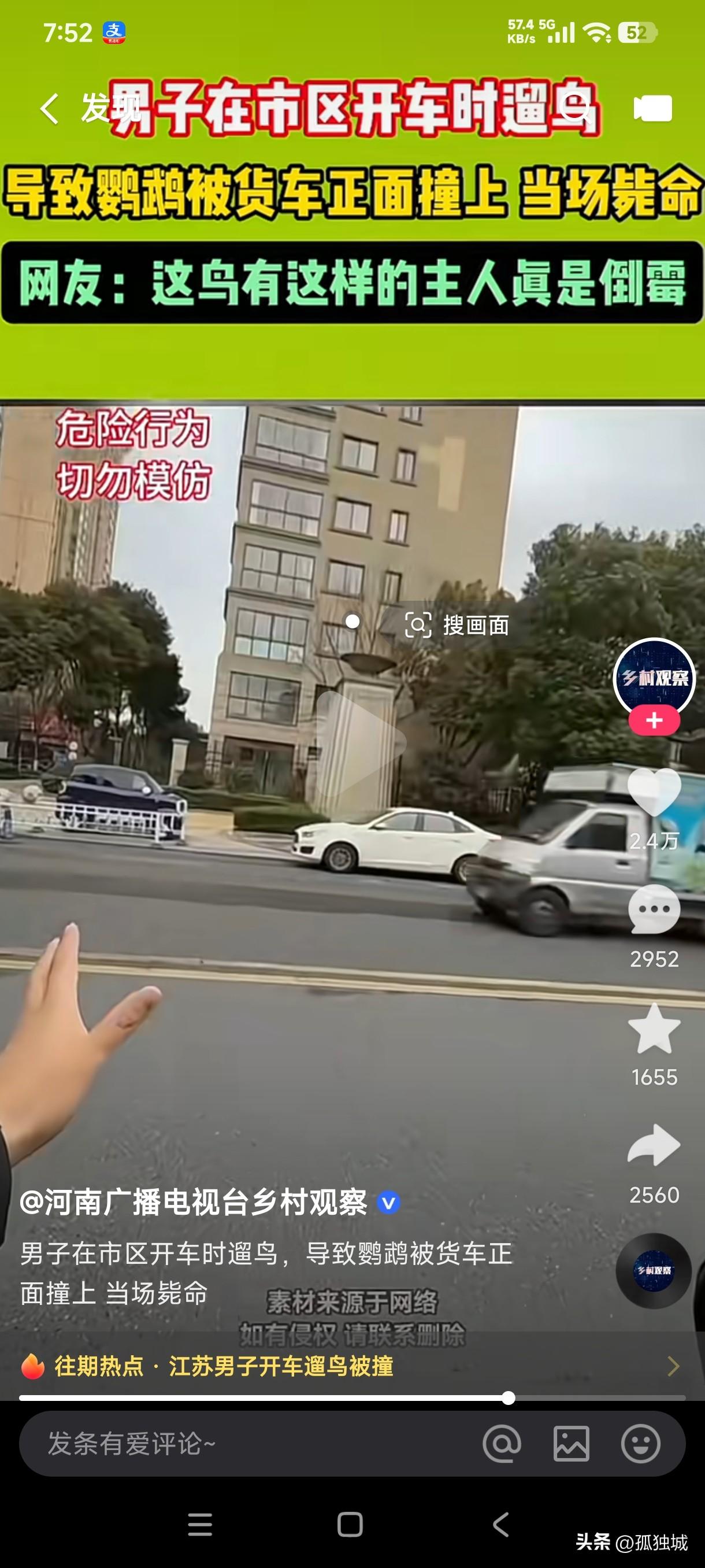 男子在市区开车遛鸟，没想到把鹦鹉刚放飞出去就撞到了对向行驶的货车上，鹦鹉当场毙命