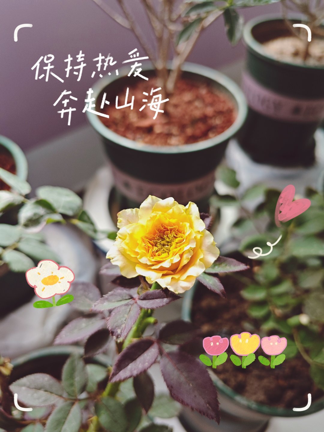 今天不想主动发微博了，你们给我投稿吧！[笑cry] ​​​
