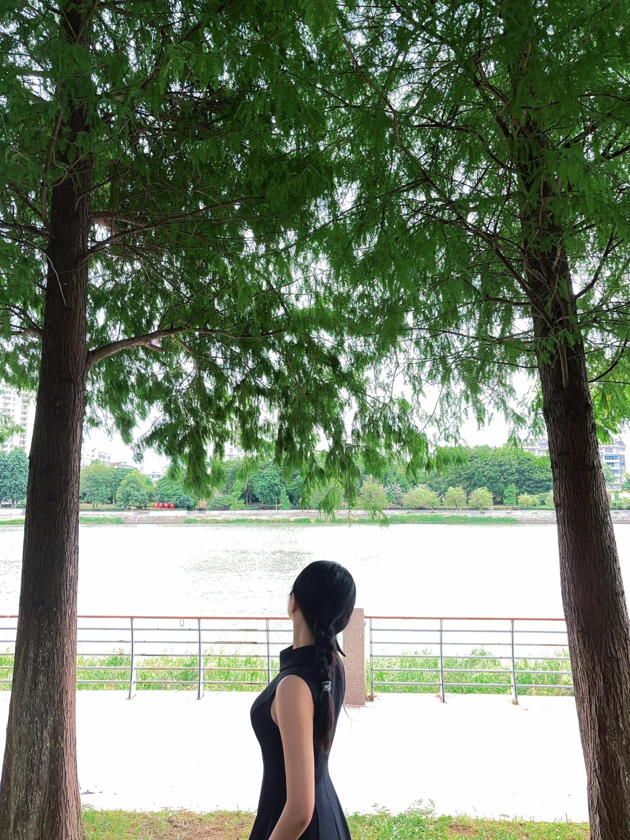一座桥，连接着两岸。 #周末# #城市河边美景#