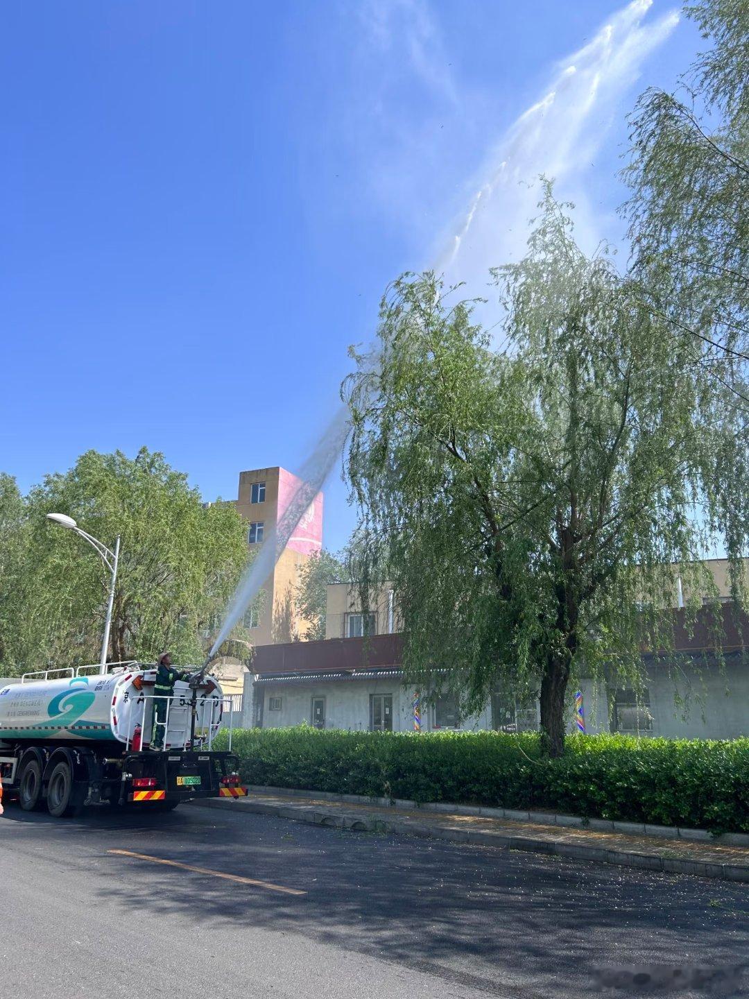 官方回应为什么不能把杨柳树都砍了杨柳树是北方乡土防护林，固尘降温效果极强。全砍伐