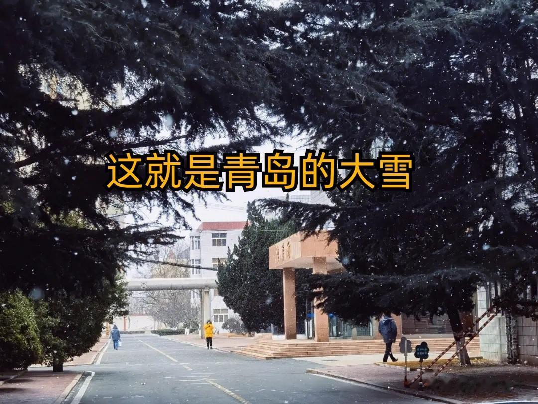 看到东北下雪下的发紫，孩子对我说：老爸，啥时候咱们青岛也能这么痛快的下一场大雪啊