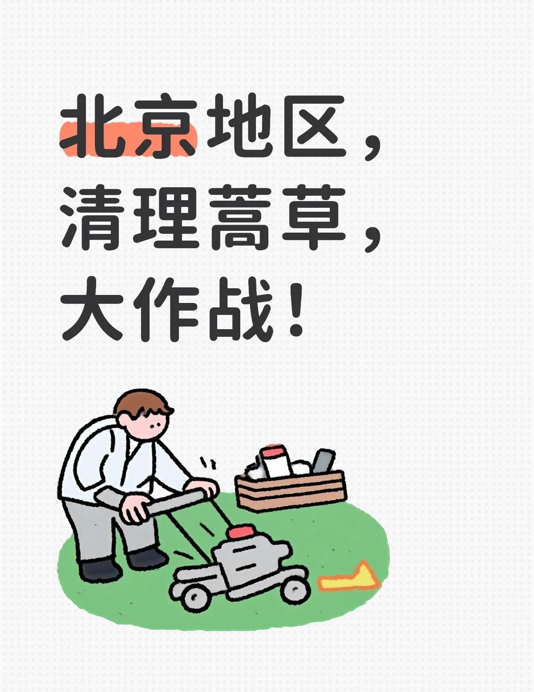 北京蒿草战友集合✨拨打12345清除！
蒿草战友们谁懂！每年秋天被花粉搞到鼻炎、