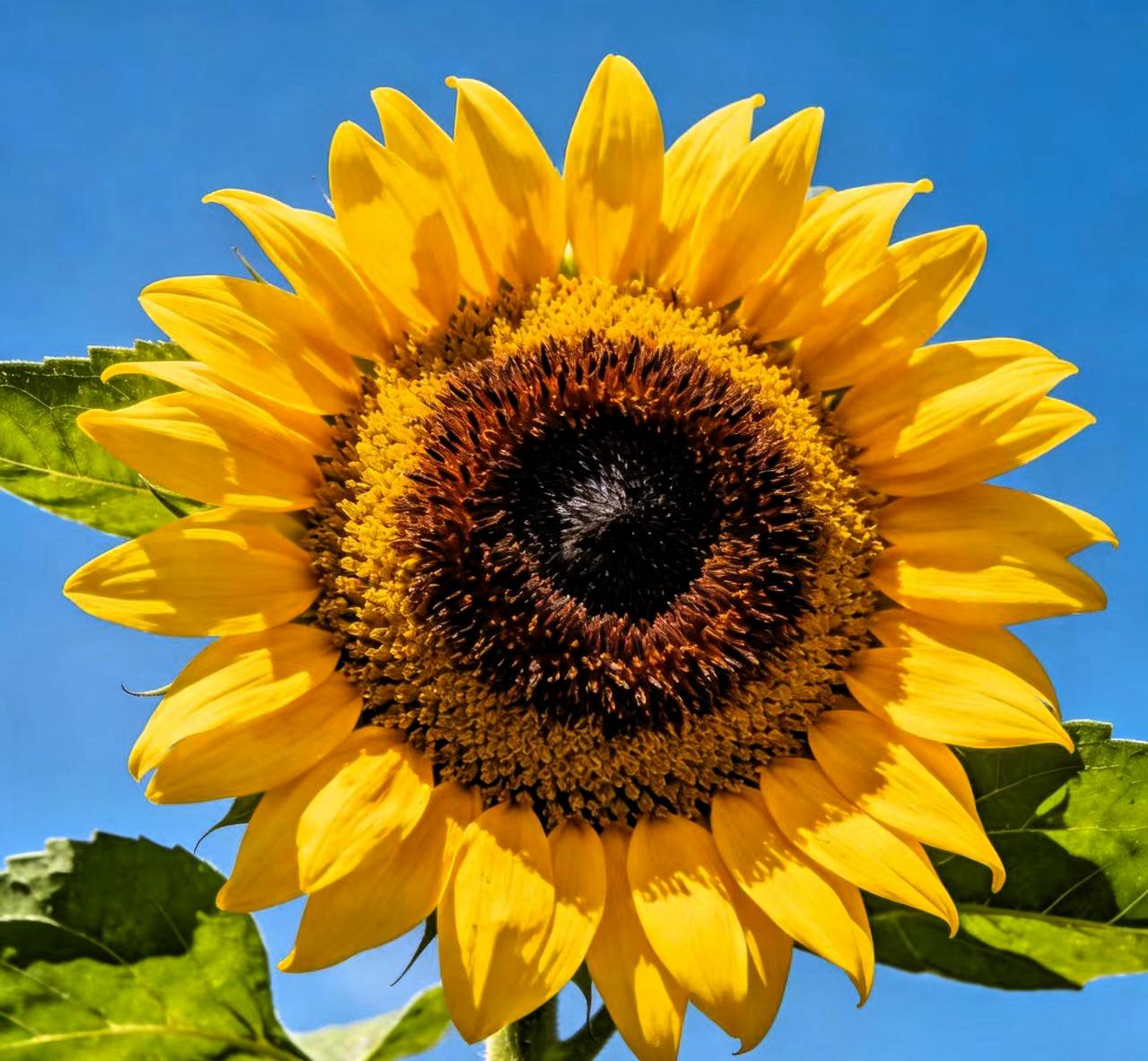 奉劝大家，
以后借钱给任何人，
不管是亲兄弟姐妹，
亲戚朋友也罢，先把心态摆好再