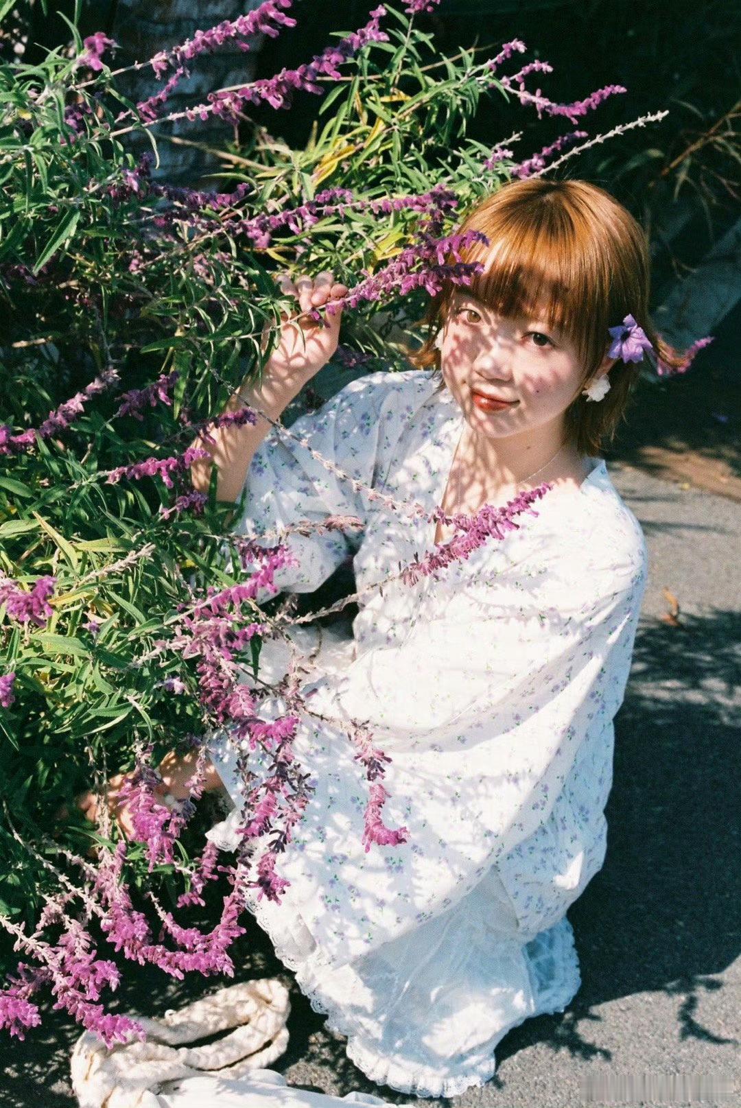紫藤花的秘密🎞️摄影:​​​