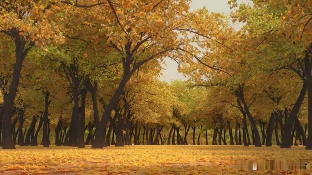 残荷败叶,有什么美?
当繁华散尽，仍风骨犹存，~这就是人生的下半场的精彩