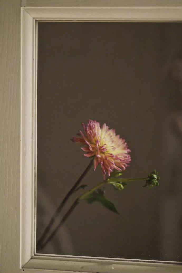 所谓见过世面，不是去某个高级餐厅吃个饭也不是去世界各地旅行了一圈，而是当人性在你