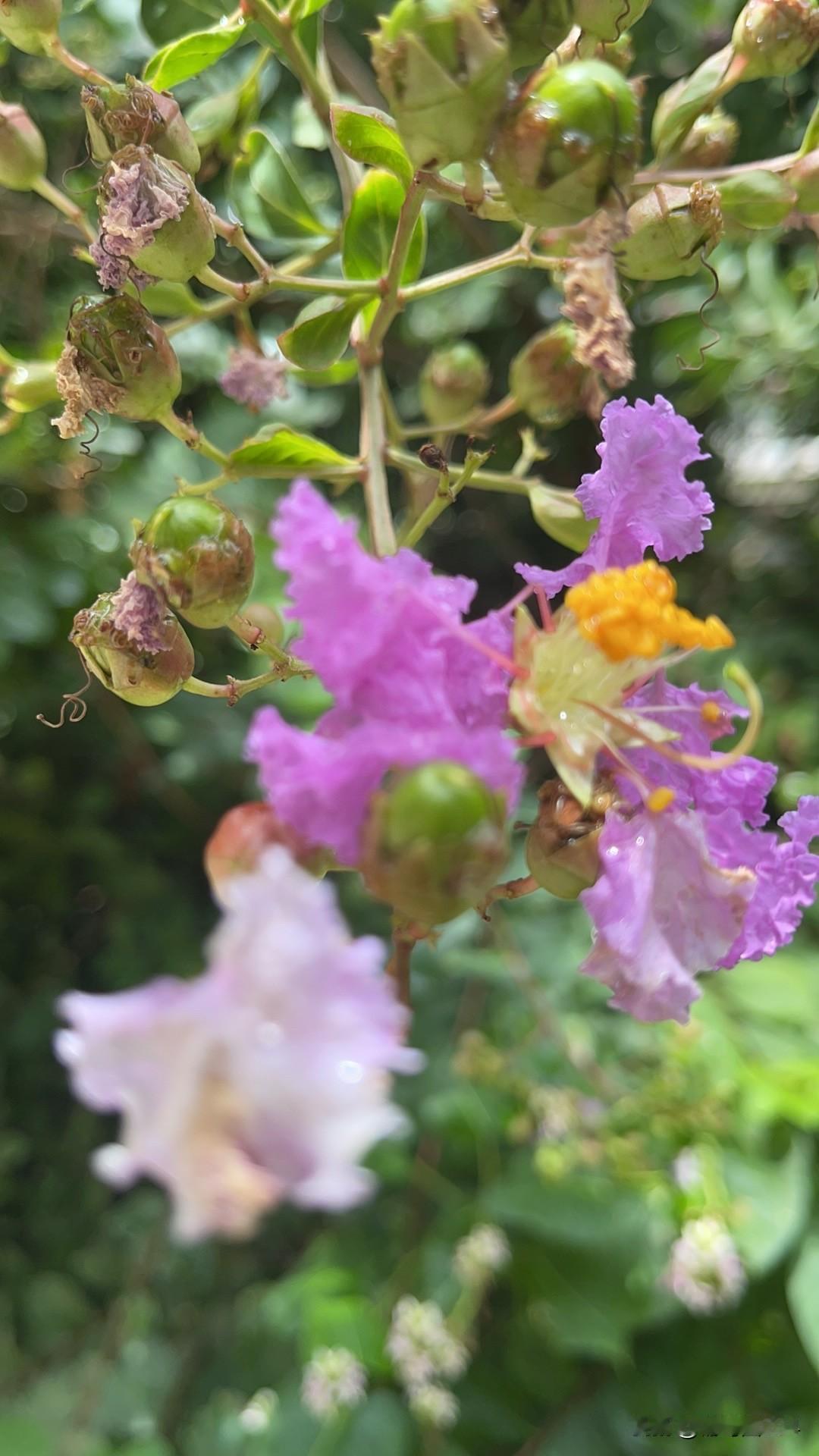 网络有一个特点……谁“红”骂谁！
骂郭德纲
骂董宇灰
骂山姆
骂……
人怕出名猪