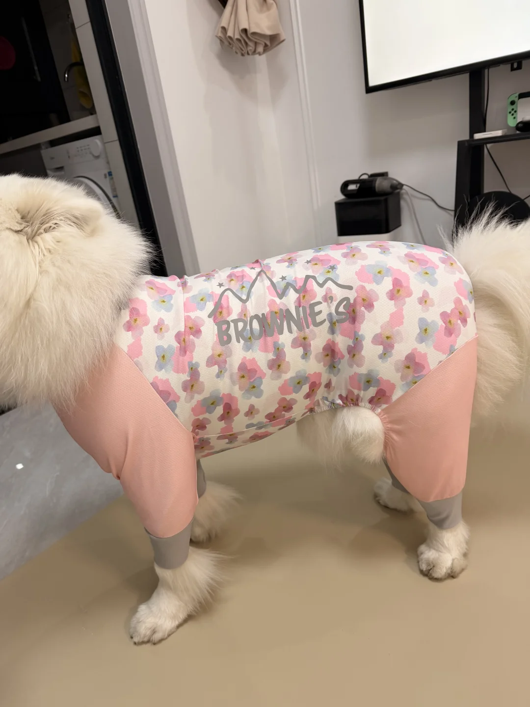 布朗尼26年新款尺码推荐-os