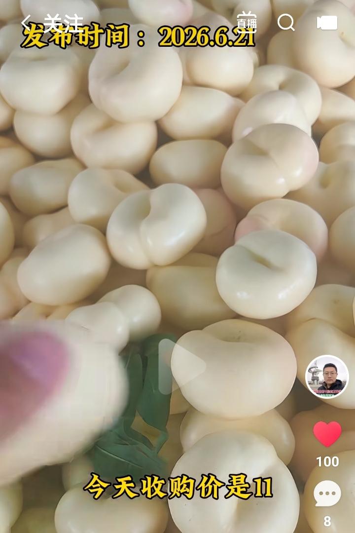 中国蜜桃之都蒙阴的蜜桃已经达到理想的境界。
白油蟠公斤价已达22元！
这是消费者