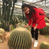 圆溜溜品品科技