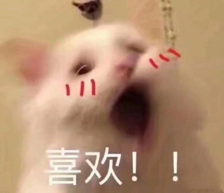 一发中心选款天选兔熊人