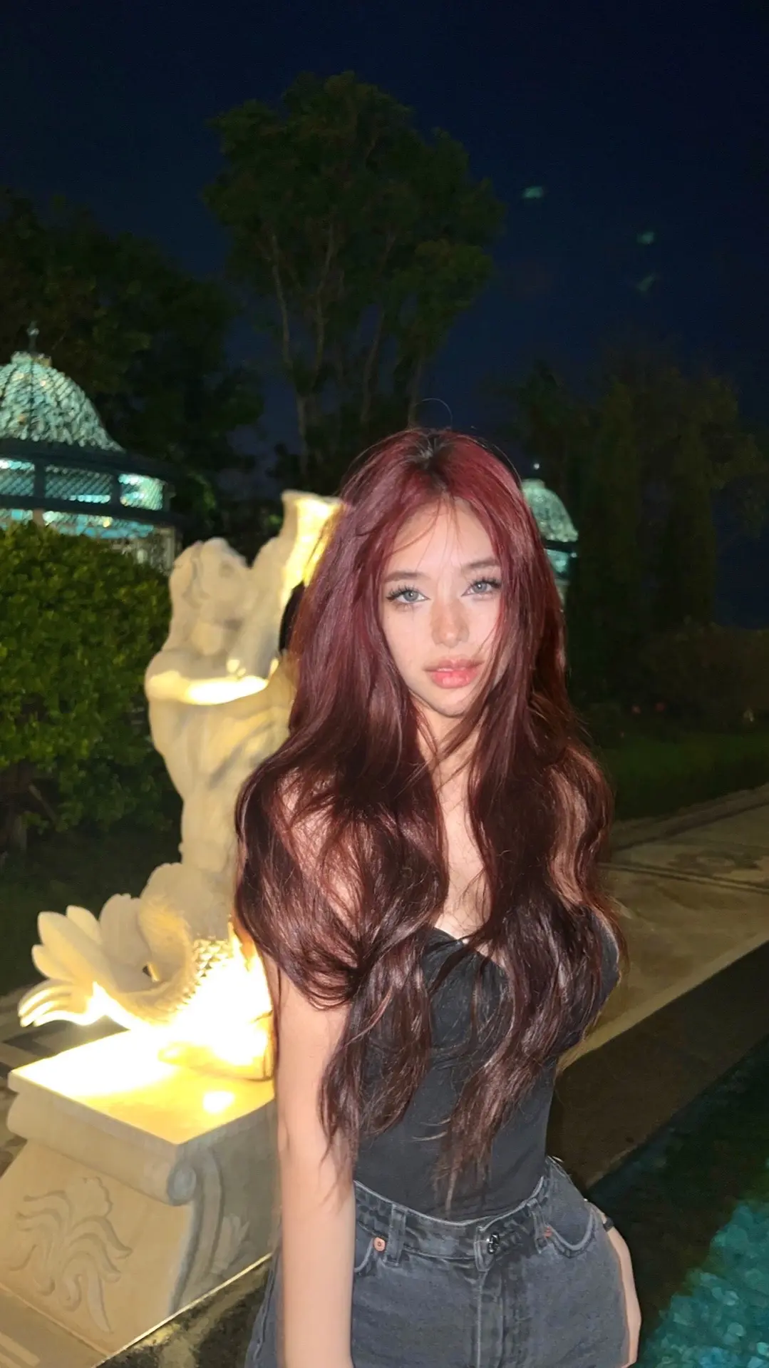 🐈‍⬛🐈‍⬛。