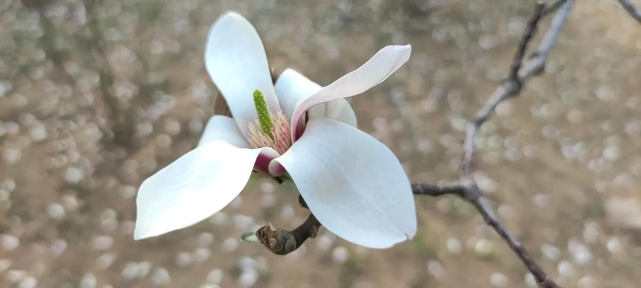 一个女人
你要记得
人生从不是单选题
安稳与爱从来都不冲突
不必把婚姻当成绝境退