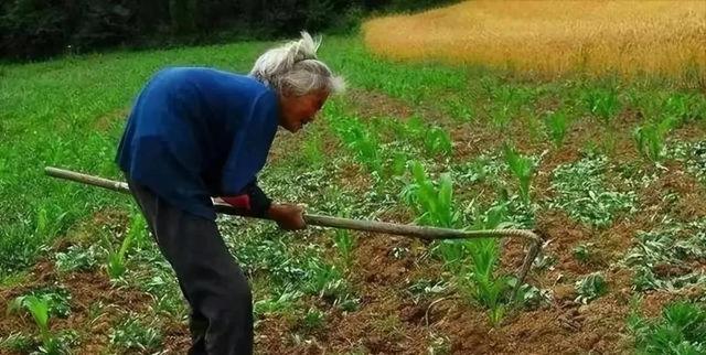 老农民年轻时，生活在国家刚解放不久，尚处于“一穷二白”、积贫积弱的那个艰苦年代。