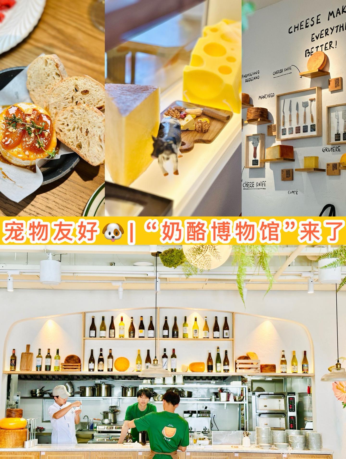 宠物友好🐶｜江边“奶酪博物馆”来了 这家开在江边宠物友好🐶的Mozzarel