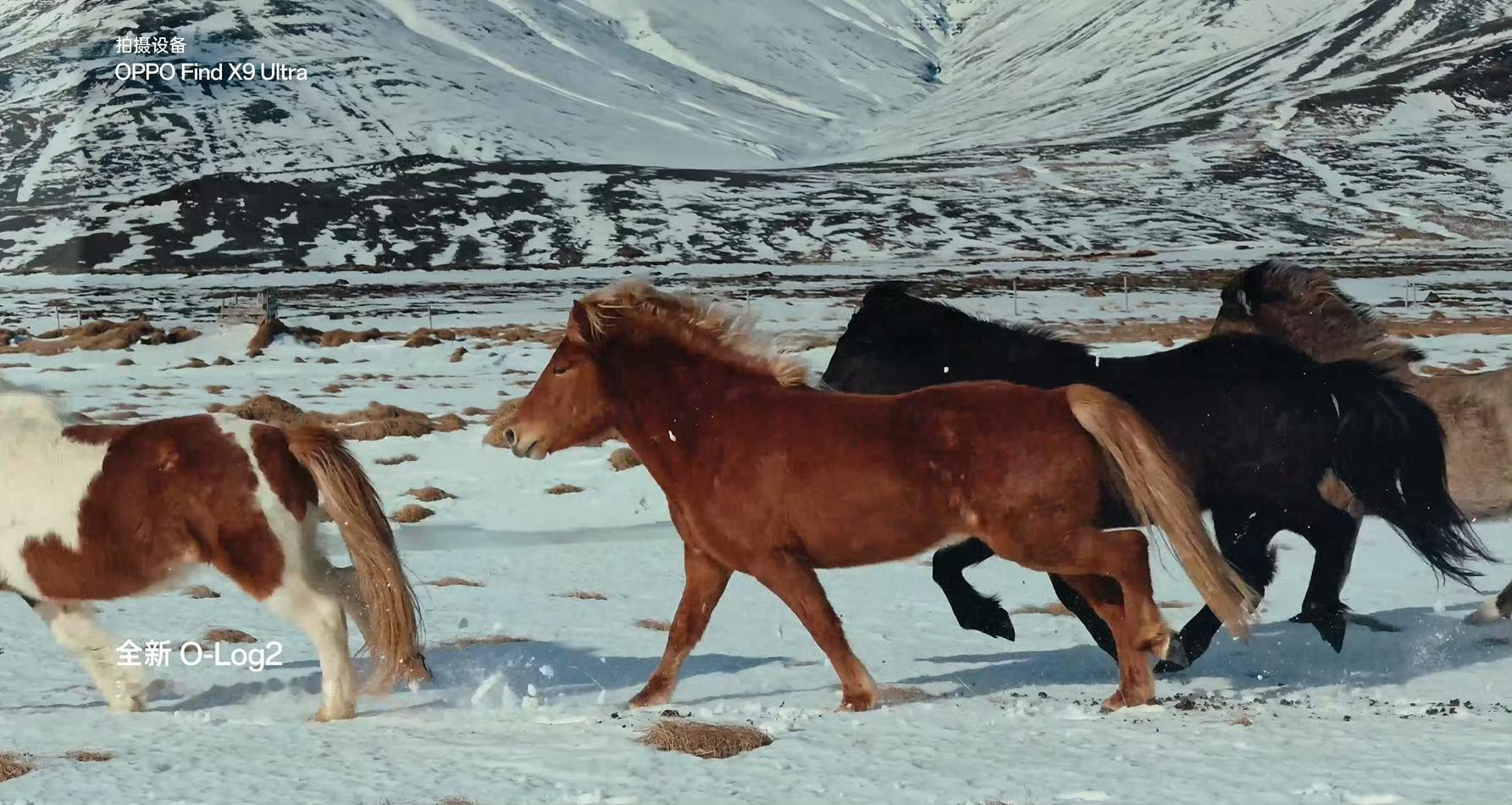 Tim说OPPOFindX9Ultra是口袋电影机发布会现场看到影视飓风Tim的