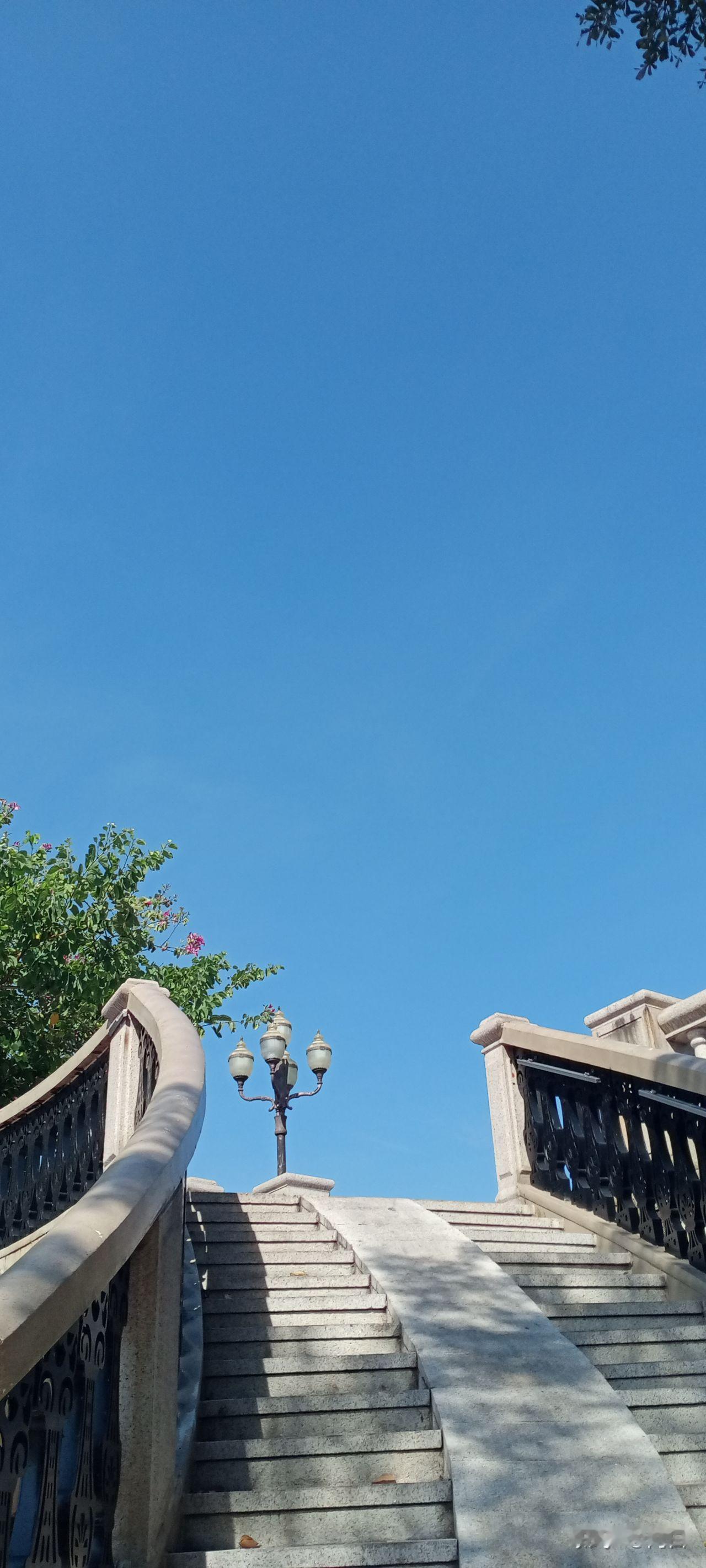 经济学家说：“一个孩子未来能走多远、有多出色，最核心的从来不是家长的拼命鸡娃、而