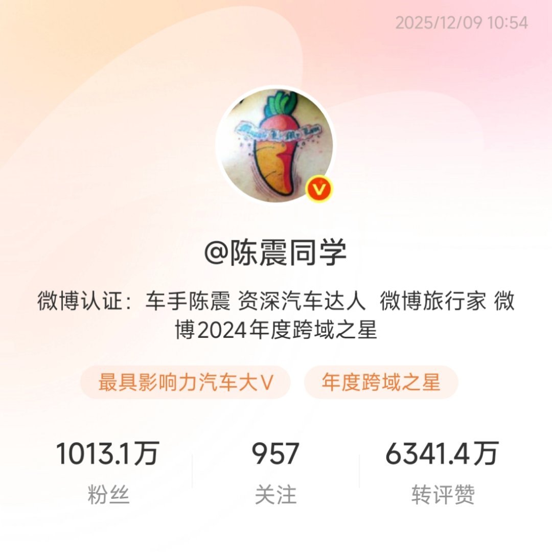 海中无震哥，玛卡当大王，陈震下线之后，某人热度涨了好多，但无休止的争吵对于品牌毫