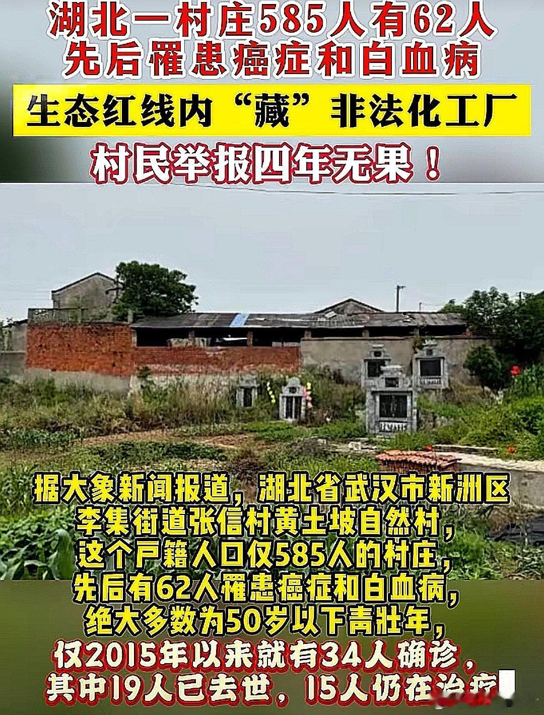 聚焦！中国大陆湖北省一个村庄62人先后罹患癌症和白血病！村民怀疑与村里工厂有关，