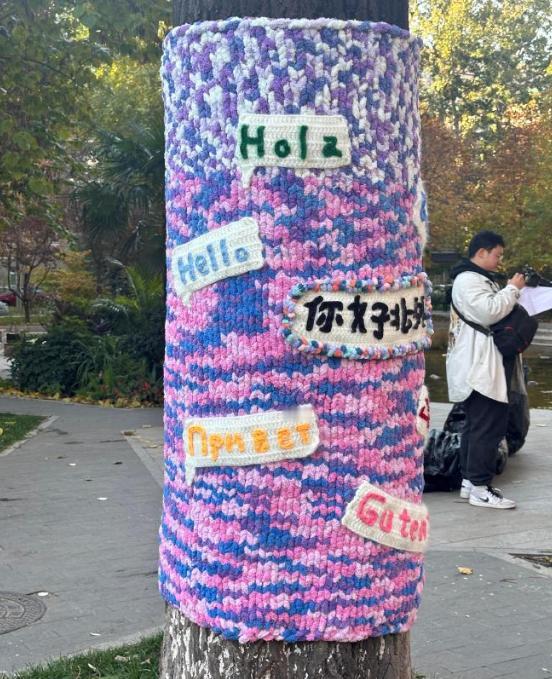 近日，有大哥用各种颜色的毛线在树干上缠出了各种好看的“衣服”，上面还挂满了同样用