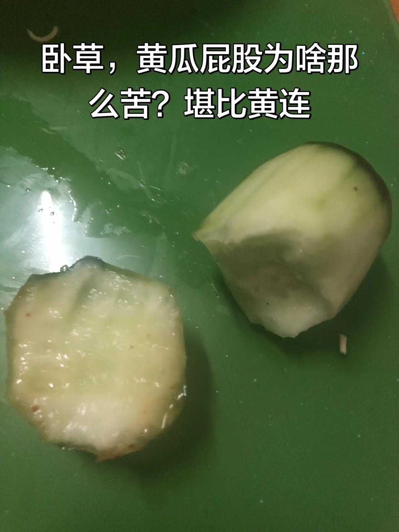 世间最苦的是什么？说说。黄瓜