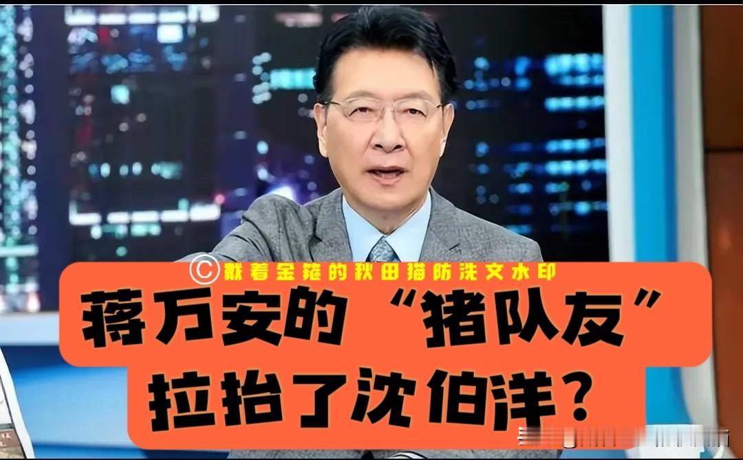 蒋万安的猪队友赵少康奉献“神助攻”，请沈伯洋上节目，本想让沈伯洋现原形，结果事与