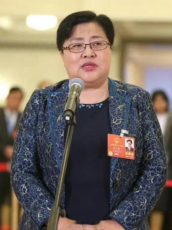张宝艳提议献策：“拐卖妇女、儿童罪，判处死刑，不许缓刑，立即执行”！  