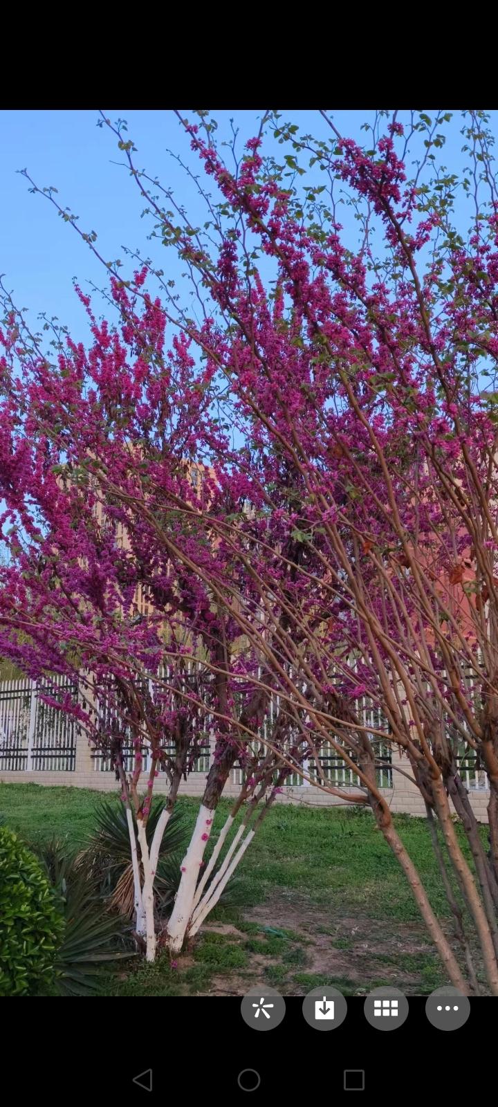 思来想去，作为一个低收入群体，我再也不能给这些人做贡献了，必须戒烟，决心有了，那