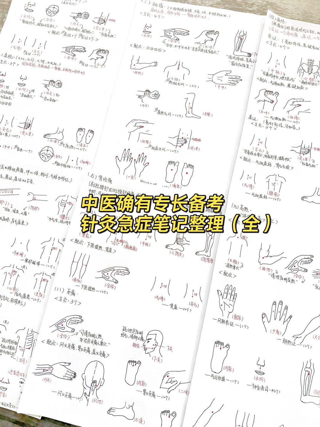 中医｜一些小进步！