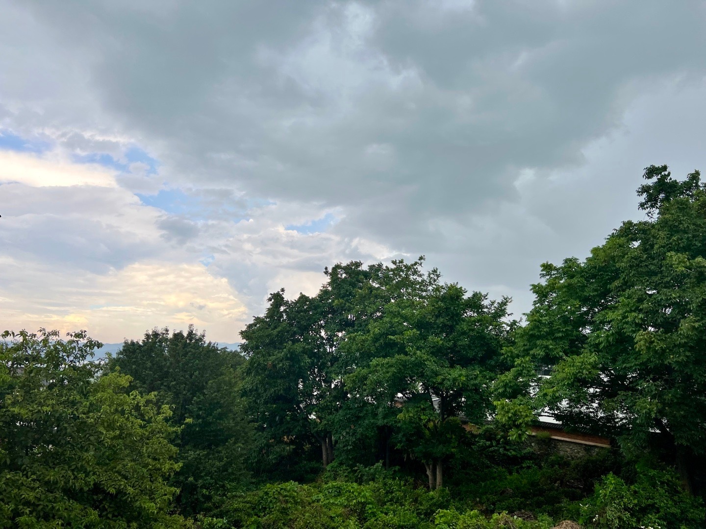 雷电黄色预警终于准确正在轰隆隆隆隆轰隆隆隆隆隆中此时此刻 20260605。周五