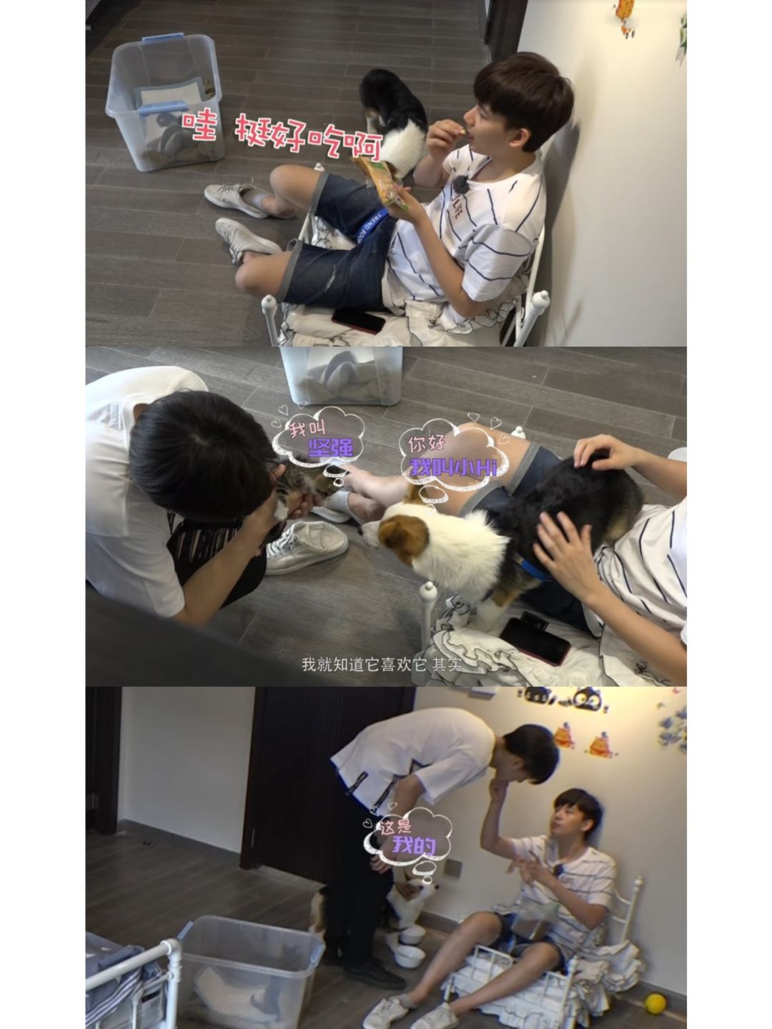 胡先煦偷吃狗饼干，还安利给农农“奶味好浓啊”
《我的室友日记》里的片段，比正片还...