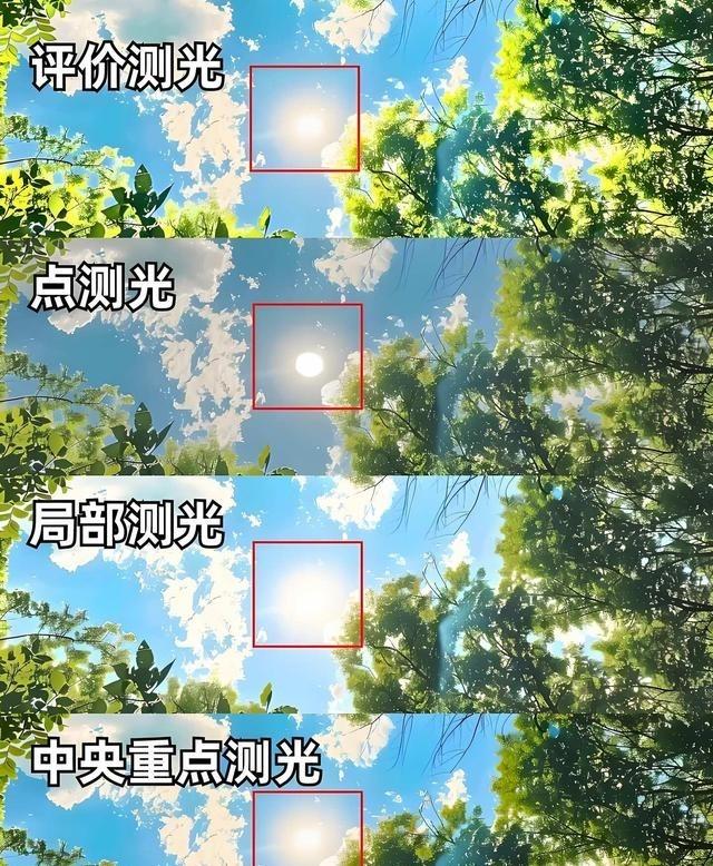 测光到底怎么测？曝光补偿把我整蒙了

学摄影的时候，有一个地方特别容易把新手绕进