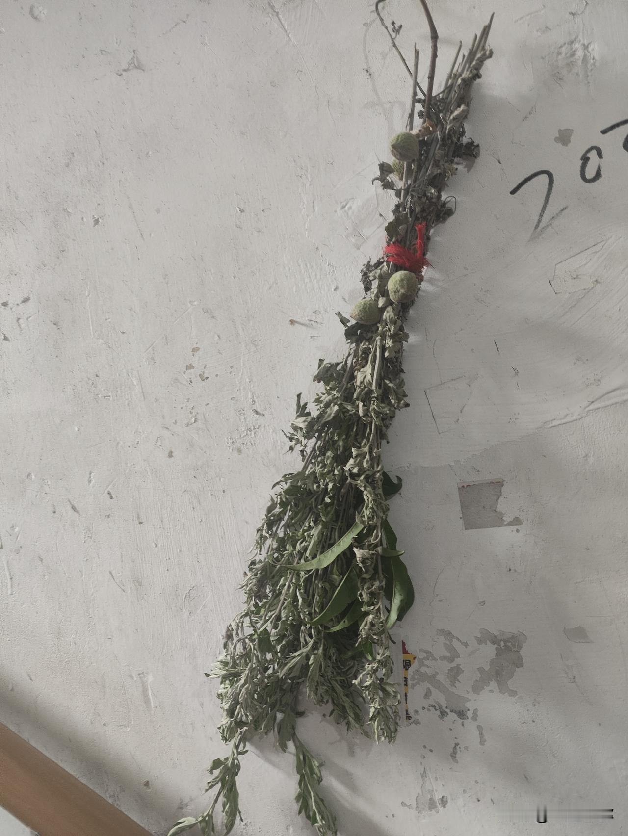 ---

🌿 端午安康，艾草倒挂，福气到家！

朋友们，今天是五月初五端午节，