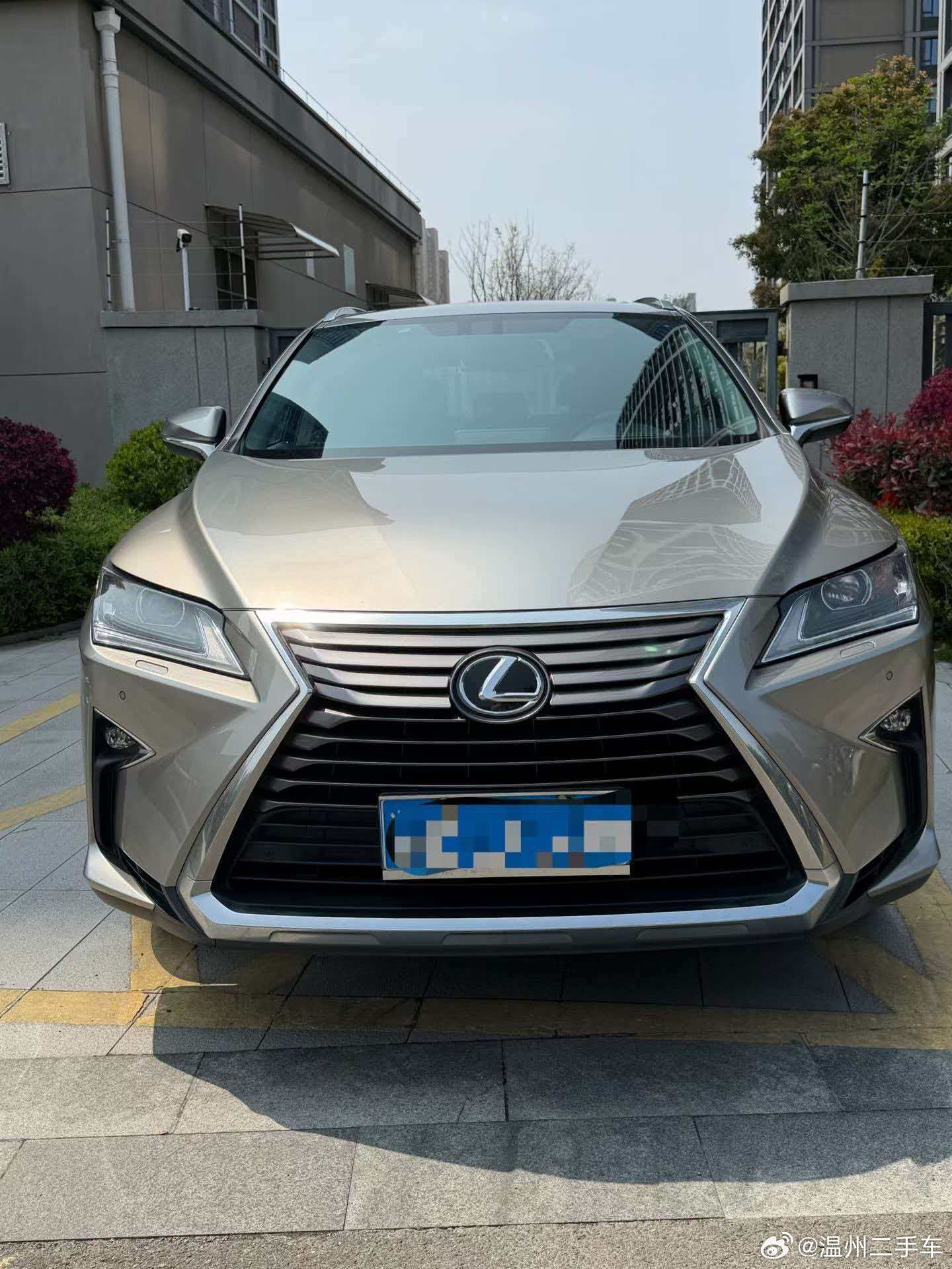 19年4月雷克萨斯RX300一手车精品车况13万公里查博士S级，价格15.X 