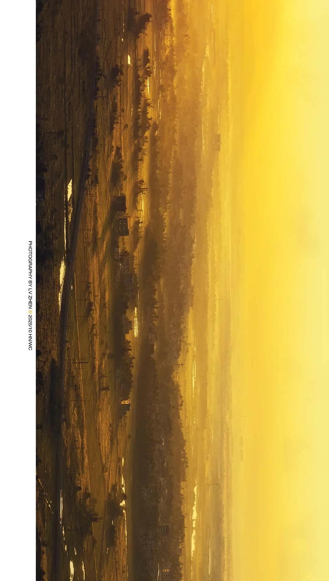 清晨路过文昌铺前镇的日出🚗🌅
治愈系风景 海南 航拍 影像激励计划 浪漫生活