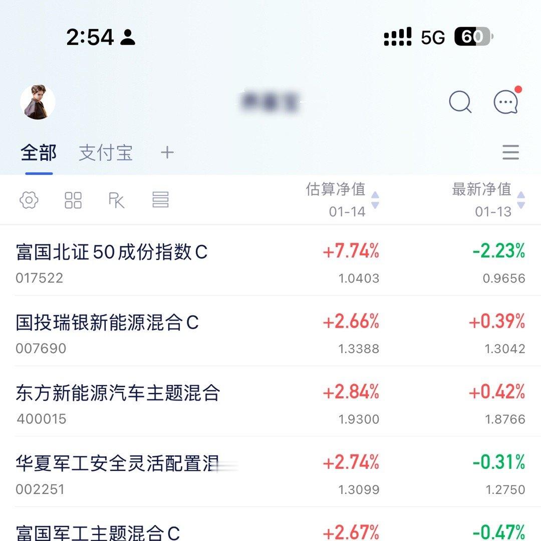 说说我今天的决定。今天我只加仓我手中有的：北证、新能源、军工。反正有大仓位底仓。