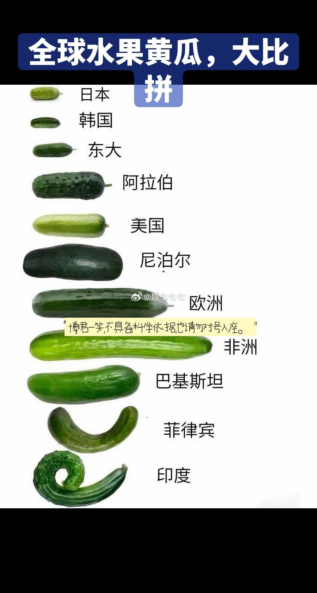 水果爱好者最爱排行 减脂好物推荐黄瓜的神仙吃法 颠覆认知的水果真相 喜欢那个国家